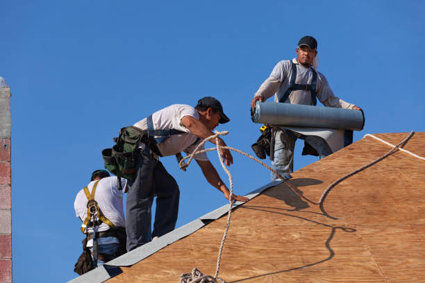 Best Metal Roofing Contractor  in Ruston, LA