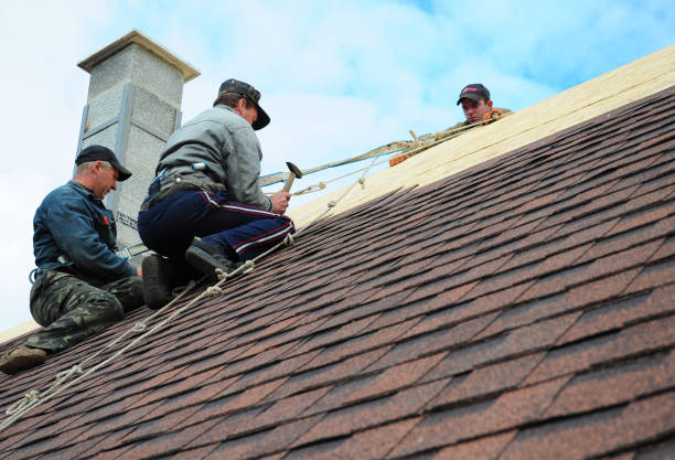 Best Roof Gutter Cleaning  in Ruston, LA